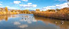 AdobeStock_113185331.jpeg