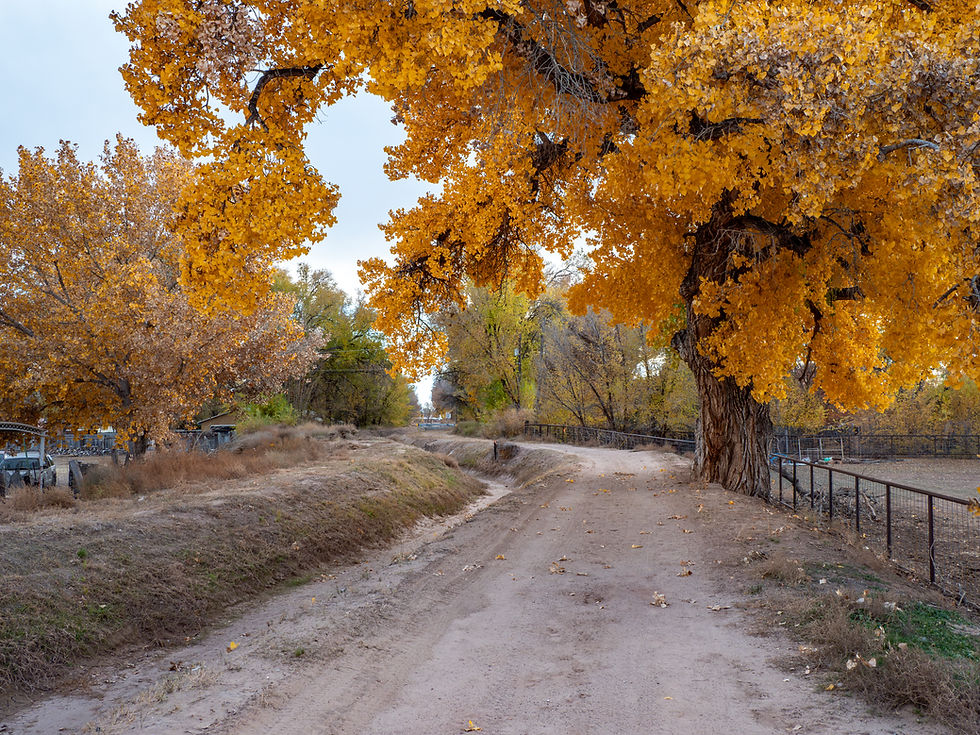 North Valley-21.jpg